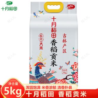 十月稻田  香稻贡米5kg 东北吉林一级大米 真空锁鲜