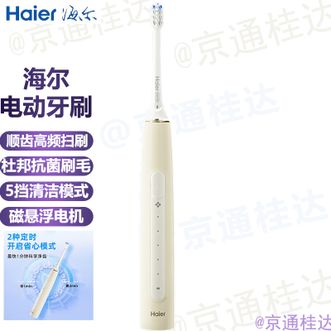 海尔/Haier  电动牙刷电牙刷口腔牙齿清洁杜邦抗菌刷毛多种清洁模式口腔清洁出差旅行便携牙刷