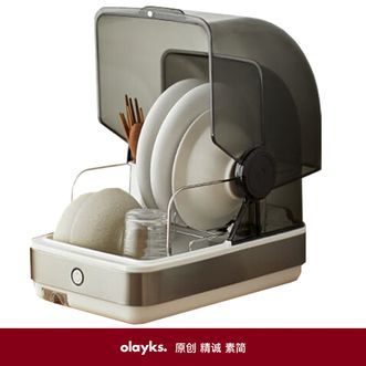 欧莱克（olayks）消毒柜台式消毒碗柜家用保洁柜迷你小型碗筷刀架高温消毒烘干柜22LZTD22-B