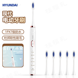 HYUNDAI  电动牙刷美白艺术家充电式电动牙刷声波震动牙刷