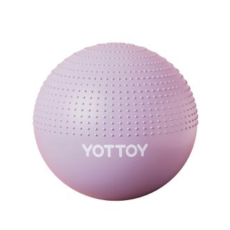 yottoy  防爆体感瑜伽训练球65cm