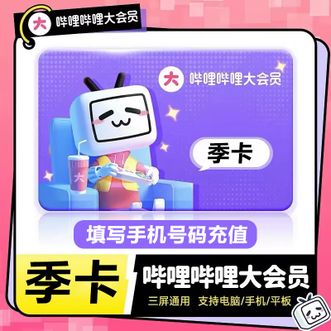 哔哩哔哩大会员  不支持电视端 三个月卡 季卡 官方充值B站bilibili会员权益产品