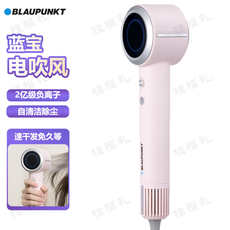 BLAUPUNKT  电吹风 负离子家用护发大功率吹风机智能恒温吹发大风速速干电吹风筒