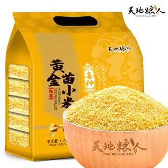 天地粮人  礼袋装（350g*5包 ）（年会自用节日会议礼品杂粮 手信） 黄金苗小米礼袋装（350g*5包） 1750g