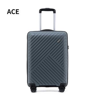 ACE  硬箱拉杆箱 时尚旅行箱 ins行李箱D8013-28寸灰色 铝合金材料拉杆三档拉伸 随心调节