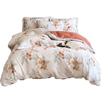 多奇曼  全棉立体印花磨毛四件套床品四件套200*230 喜上眉梢 PH-T2401