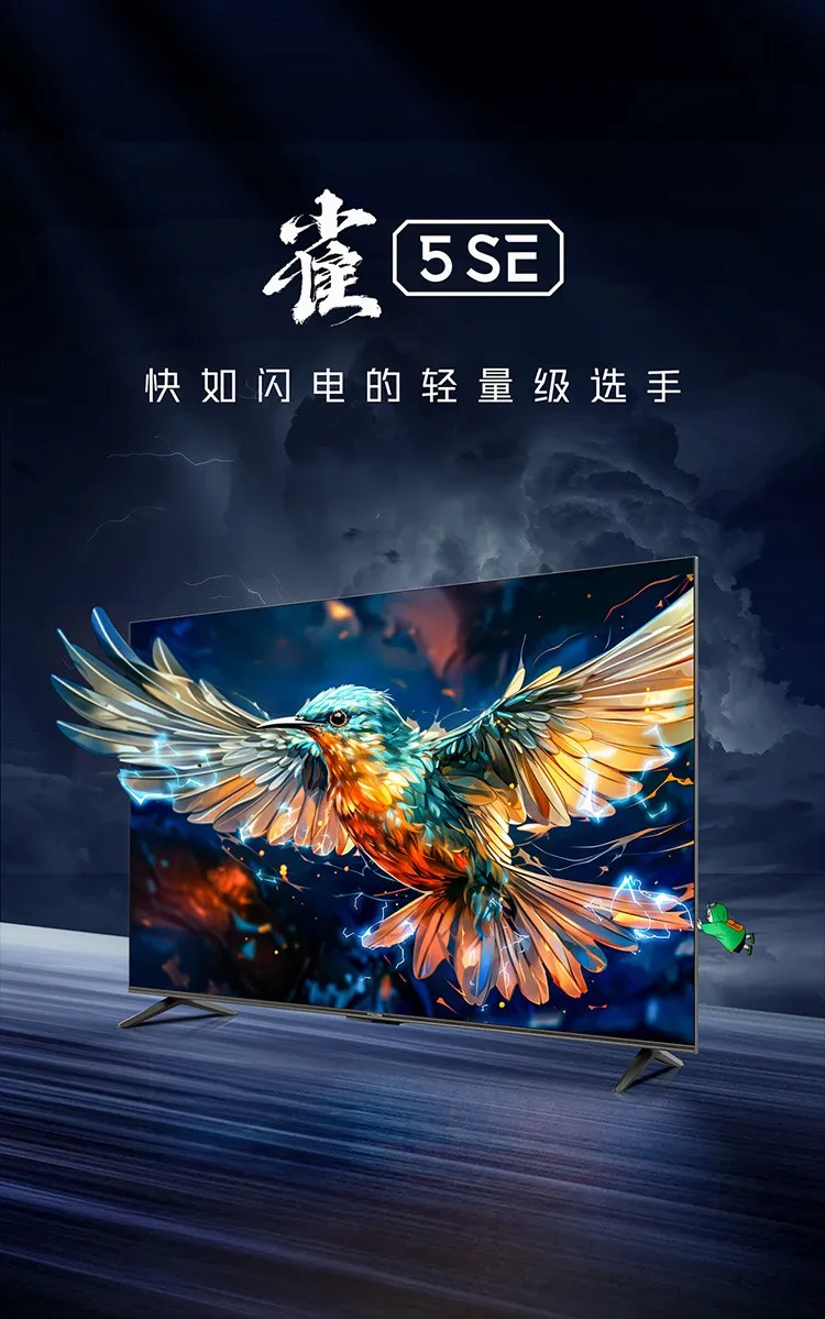 凤凰知音