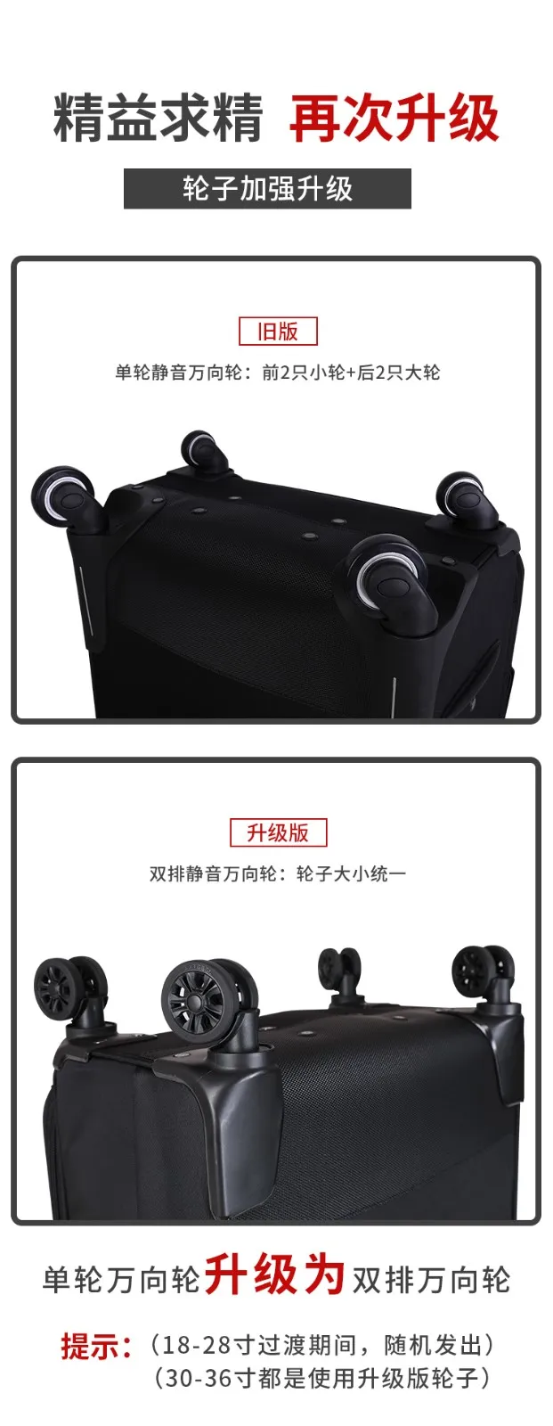 凤凰知音