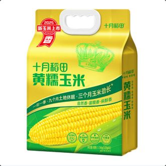 十月稻田  软糯香甜黄糯玉米