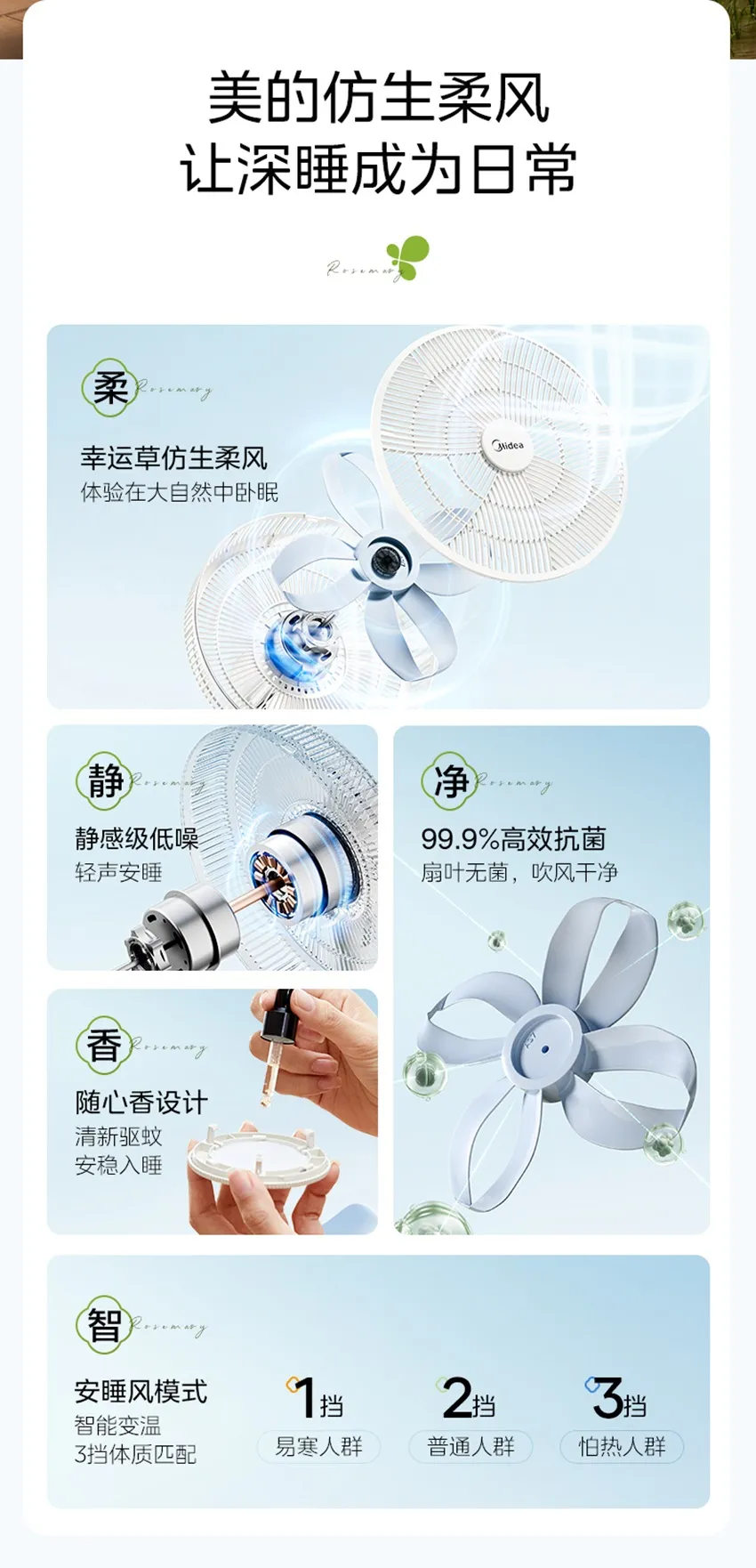 凤凰知音
