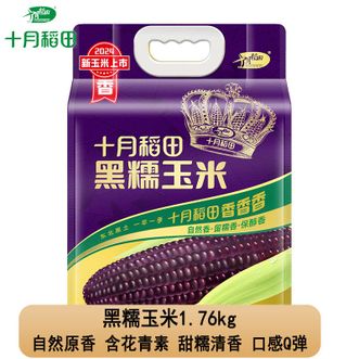 十月稻田  黑糯玉米1.76kg（220gx8个）袋装 自然鲜香含花青素甜糯清香口感Q弹 黑糯玉米