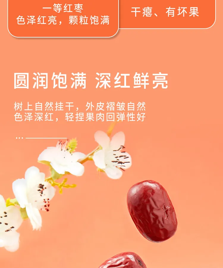 凤凰知音
