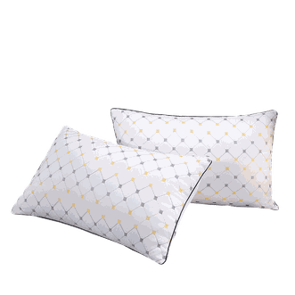 北极绒（Bejirog）  金格羽丝绒对枕两只枕头 BJRZ613