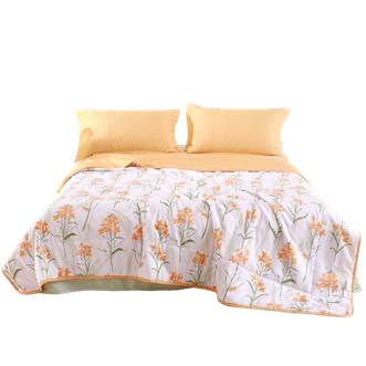 恒源祥 花朵朵柔软夏凉被 200*230cm 恒源祥 花朵朵柔软夏凉被 200*230cm