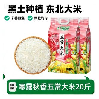 十月稻田  新米  寒露秋香  5kg×2袋   口感丰富颗粒饱满真空锁鲜