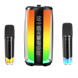纽曼（Newmine）  音响音箱蓝牙唱歌神器K歌麦克风音响一体式内置声卡显示歌词KTV家用便携户外卡拉ok K19 双麦克风