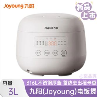 九阳/Joyoung  电饭煲316L不锈钢3L迷你多功能炖煮蒸饭智能预约煮饭锅