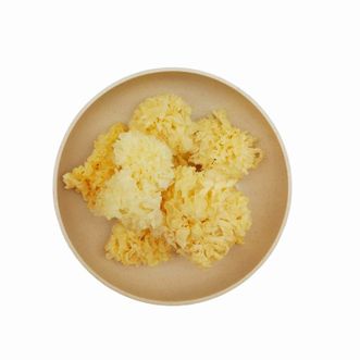 麦浇芽  椴木银耳雪耳银耳子白耳子白耳干菌子  100g