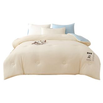 悠梦嘉居  深睡温控暖绒被 2000g YB-15002