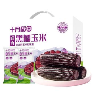 十月稻田  鲜食黑糯玉米1.6kg东北紫玉米富含花青素低脂软糯粗粮早晚餐