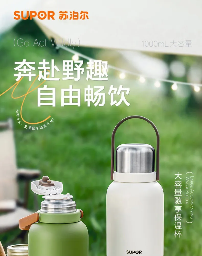凤凰知音