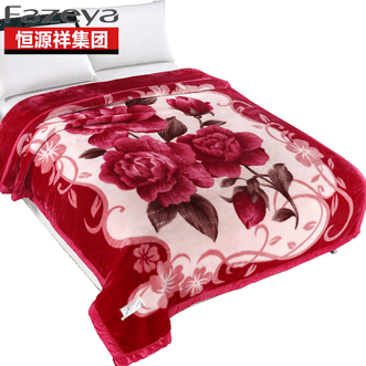 彩羊（Fazeya）  精致工艺毯（锦绣花园）180*220CM