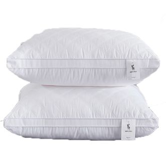 皮尔特保罗（PIERTE POLO）  水立方舒柔对枕48CM*74CM*2 护颈枕枕芯PPLZ-003