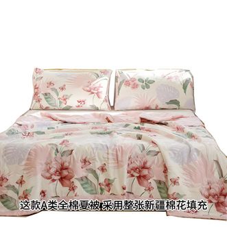 金号  单双人夏被150*200cm/200*230cm JDJHXLB007 花溪