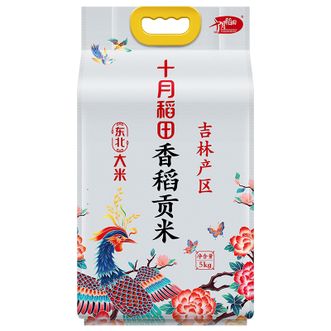 十月稻田  香稻贡米 10斤（东北大米 粳米 5kg/十斤）