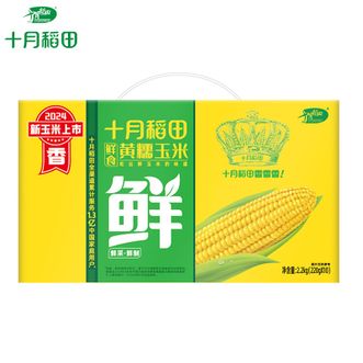 十月稻田  鲜食黄糯玉米2.2kg(220gx10个）提装-新老包装随机发 自然香甜软软糯糯鲜食黄糯玉米