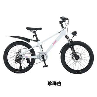 Jeep  吉普儿童自行车6到12岁男女孩简单易上手山地变速自行车R300单速辐条轮22英寸