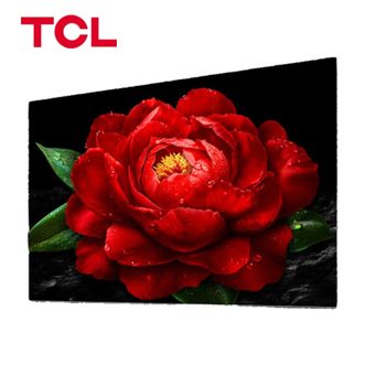 TCL  电视 65T5K-JN 65英寸 144Hz QLED量子点 安桥2.1声道音响 超薄 4+64GB大内存