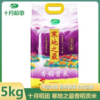 十月稻田  寒地之最香稻贡米5kg东北产地优质大米粒粒清香家用煮饭大米