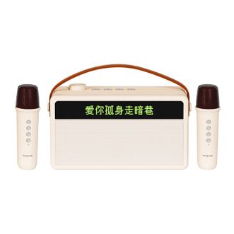 沃品/WOPOW  歌词K歌音箱  自带双麦克风音响  小巧便携  AP09  白色