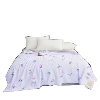 因为+所以  夏日炎炎——蚕丝夏凉被 BSC-005