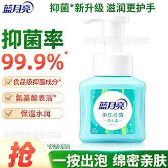 蓝月亮  鲜果薄荷泡沫抑菌洗手液255g 抑菌99.9%*长效护健康 温和护手 绵密泡沫亲肤细腻 洁净双手