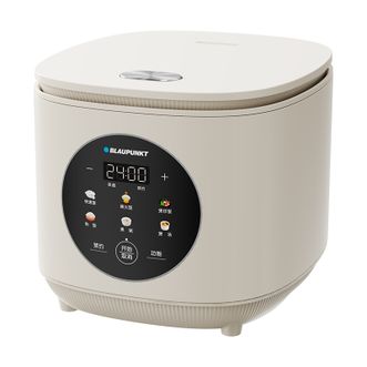 BLAUPUNKT  微电脑电饭煲家用4L多功能电饭锅智能预约煮粥煮饭煲汤2-6人适用BP-WDND10