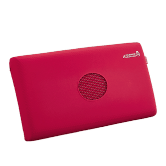 唐纳家纺  红石榴凝胶枕枕头枕芯1个单个装 40*70*8CM TN-PC24032