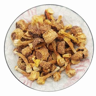 麦浇芽 姬松茸姬菇小松菇小松口蘑阳光蘑菇柏氏蘑菇干菌子 250g 麦浇芽 姬松茸姬菇小松菇小松口蘑阳光蘑菇柏氏蘑菇干菌子 250g