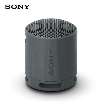 索尼/Sony  蓝牙音箱 SRS-XB100 黑色 无线户外音响 迷你便携 重低音炮 约16小时续航 IP67防水防尘
