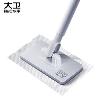 大卫  洗脸巾拖把 Z12 懒人夹布迷你拖把 新款家用一拖板 静电除尘纸净 洗脸巾迷你拖把