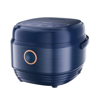 龙的/Longde  电饭煲家用智能预约煲汤煮米饭杂粮粥自带蒸格LD-FS301A