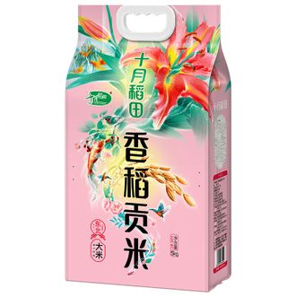 十月稻田  香稻贡米5kg  如珠如玉莹润饱满东北大米煮饭米10斤