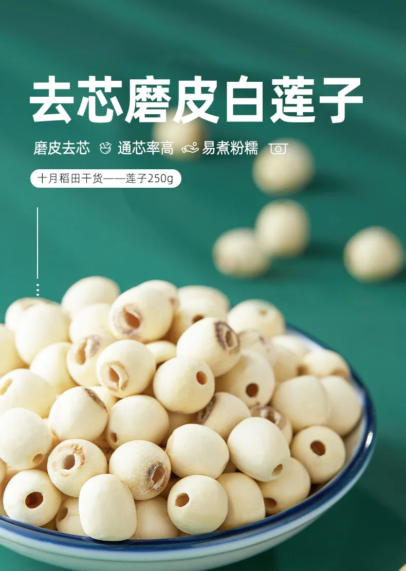 鳳凰(大)　NＴ-140 凤凰知音