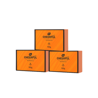 植护  恒研抑菌内衣皂 100g*3盒