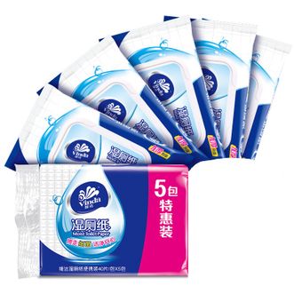 维达  湿厕纸家庭装私处专用便携清洁湿巾可搭配卷纸卫生纸 40片*5包（200片）