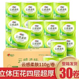 心相印  有芯卷纸云感柔肤 4层110g克柔韧亲肤卫生纸卷筒纸厕纸  BT5312
