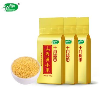 十月稻田  山西黄小米 500g*3袋 优质产区 长治小米 熬粥米饭搭档 红枣小米粥