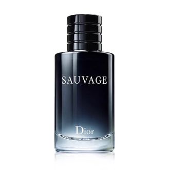 迪奥  旷野男士清新淡香水50ml
