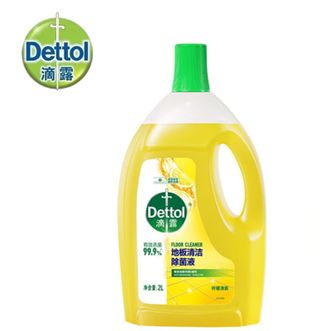 滴露/Dettol  2L地板清洁除菌液拖地瓷砖木地板地砖扫地机器人洗地机清洗剂液